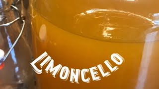 Easy Homemade Limoncello with honey [upl. by Marsland]