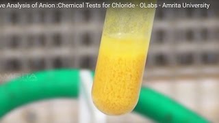 Chemical Tests for Chloride  MeitY OLabs [upl. by Jordan]