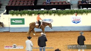 A Judges Perspective 2015 World Show Senior Western Pleasure [upl. by Bonnie]