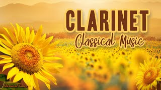 Clarinet Classical Music  Soothing Instrumental Classical Music [upl. by Gabbey]