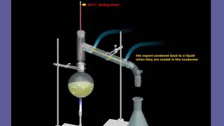 Simple Distillation Animation [upl. by Hafinah]