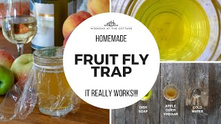 EASY HOMEMADE FRUIT FLY TRAP [upl. by Stryker843]