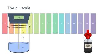 The pH Scale and Neutralisation [upl. by Acinnad]