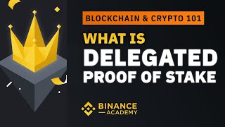 What is Delegated Proof of Stake DPoS ｜Explained For Beginners [upl. by Delaryd351]