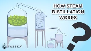 How Steam Distillation Works [upl. by Roinuj642]