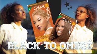 How To Dye Natural Hair Crème of Nature Hair Dye NO BLEACH [upl. by Doss863]