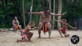 Aboriginal dance show  Australia [upl. by Shwalb222]