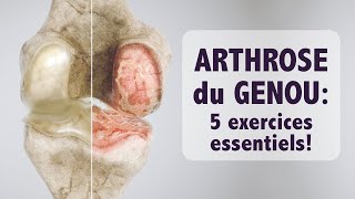 Arthrose du genou 5 exercices ESSENTIELS [upl. by Bekha]