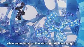 ACUVUE® OASYS with Transitions™ Mechanism of Action [upl. by Ordway]