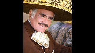 MI VIEJOVICENTE FERNANDEZ [upl. by Adnilav]