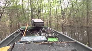 Fishing Tombigbee River Alabama [upl. by Ydurt]