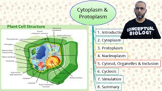 Cytoplasm and Protoplasm with Dr Sohail Jamil Qureshi  MDCAT Biology [upl. by Nilad653]