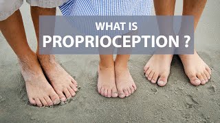 What is Proprioception [upl. by Wanonah623]