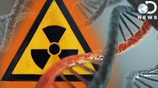 How Radiation Changes Your DNA [upl. by Colfin]