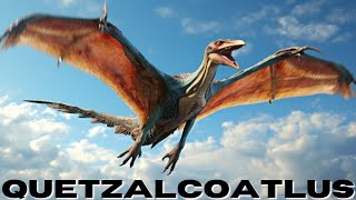 Quetzalcoatlus The Majestic Flying Giant [upl. by Anidem]