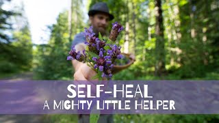 SelfHeal  a MIGHTY little helper [upl. by Anaibib]