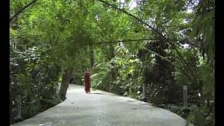 The Silent Explosion  A visit to the Osho International Meditation Resort [upl. by Liggitt]