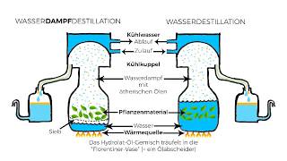 Destillation ätherischer Öle [upl. by Zara]