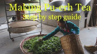 Puerh Tea Processing [upl. by Drapehs416]