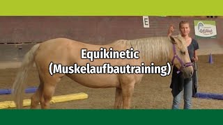 Equikinetic Muskelaufbautraining Basiserklärungen mit Andrea EschbachKindler [upl. by Tova]