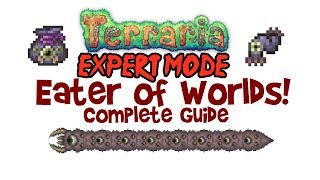 Terraria Eater of Worlds Expert Guide Strategy Drops Arena How to SummonItem Boss Fight [upl. by Ailat793]