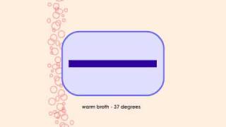 How to Sequence a Genome 4 E Coli Storage [upl. by Werra]