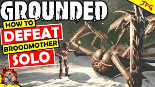 Grounded Broodmother Guide  How To Defeat The Broodmother  Craft BLT Bait Unlock Oven  Rewards [upl. by Harragan996]