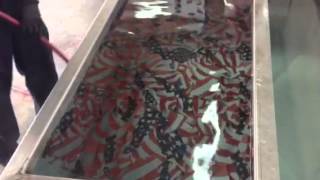 Hydro graphics dipping [upl. by Essam]