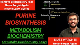 Purine Synthesis  Biochemistry  Purine Metabolism Video [upl. by Annawal202]