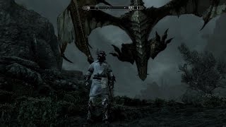 Skyrim  Randomness Part 6 [upl. by Assirrak]