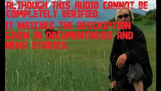 Lost Media Files The Timothy Treadwell Tape Lost Audio of Bear Attack Status Lost [upl. by Ogilvie]