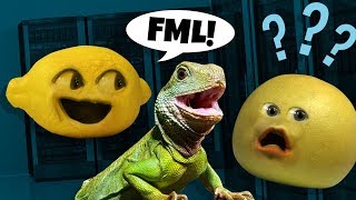 Annoying Orange  Internet Slang Challenge [upl. by Merill891]