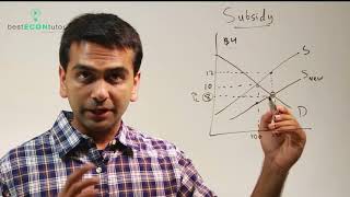 Microeconomics Subsidy [upl. by Oulman]