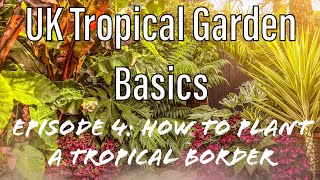 UK Tropical Garden Basics 4 How to Plant a Tropical Border from Inspiration to Design amp Planting [upl. by Llig]