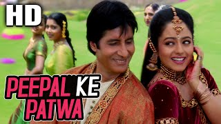 Peepal Ke Patwa Sonu Nigam Jaspinder Narula Sooryavansham 1999 Songs Amitabh Bachchan Soundarya [upl. by Lrub433]