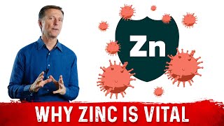 Importance of Zinc for the Immune System [upl. by Imrots203]