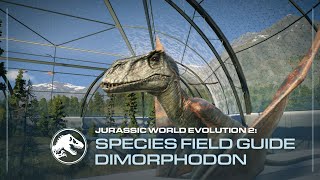 Species Field Guide  Dimorphodon  Jurassic World Evolution 2 [upl. by Mailliwnhoj]