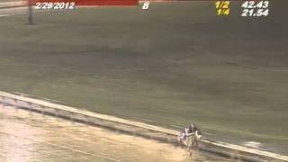 Worst Horse Racing Accident Ive ever seen [upl. by Pantheas]