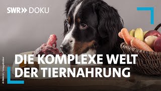 Zum Fressen gern  die komplexe Welt der Katzen und Hundenahrung  SWR Doku [upl. by Wachter]