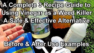 How to Use Vinegar as an Organic Garden Weed Killer 3 Recipes Different Strengths amp Use Examples [upl. by Accebar509]