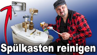 Spülkasten entkalken  Spülkasten reinigen  Spülkasten reparieren 🚽 [upl. by Brainard313]