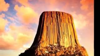 Giant Petrified Tree Stumps Maybe [upl. by Collen]