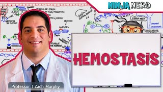 Hematology  Hemostasis Coagulation Cascade [upl. by Repooc543]