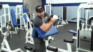 Dumbbell Hammer Curls On The Preacher Curl Bench [upl. by Faustina]