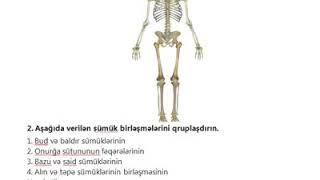 Biologiya 8ci sinif ksq3 [upl. by Johnsson152]