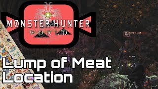 MONSTER HUNTER WORLD Lump of Meat Guide Meat that Matters [upl. by Ettelimay]