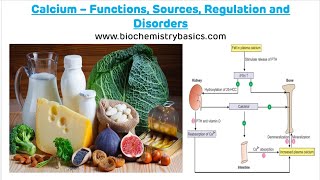 Calcium  Functions Sources Regulation and Disorders  Calcium Metabolism  Calcium [upl. by Sumetra]