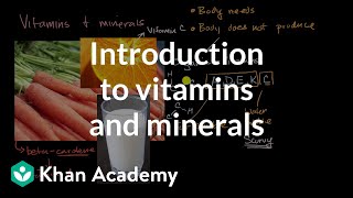 Mineral Nutrition  01  Micronutrients and Macronutrients  Class 11  Pace Series [upl. by Rapsag960]