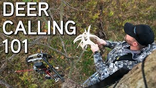 Deer Calling Tips  Rattling and Grunting To Bucks [upl. by Naman125]