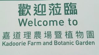 Kadoorie FARM amp Botanic Garden Fresh garden imsheng dc [upl. by Klemperer]